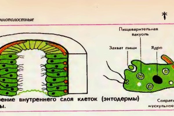 Kraken россия