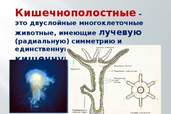 Кракен зарегистрироваться