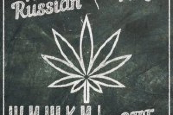 Не могу зайти на сайт кракен